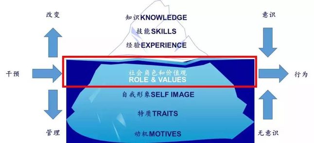 社会角色和价值观 社会角色和价值观
