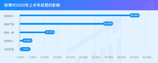 疫情对2020年上半年经营的影响 疫情对2020年上半年经营的影响