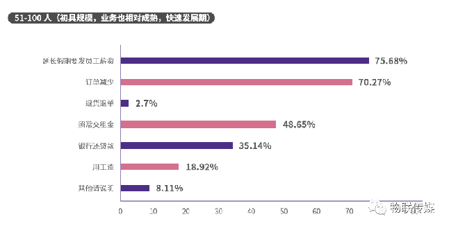 分企業規模-51-100人(初具規模,業務也相對成熟,快速發展期)