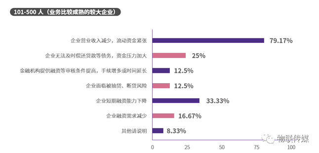 分企業規模-101-500人(業務比較成熟的較大企業)