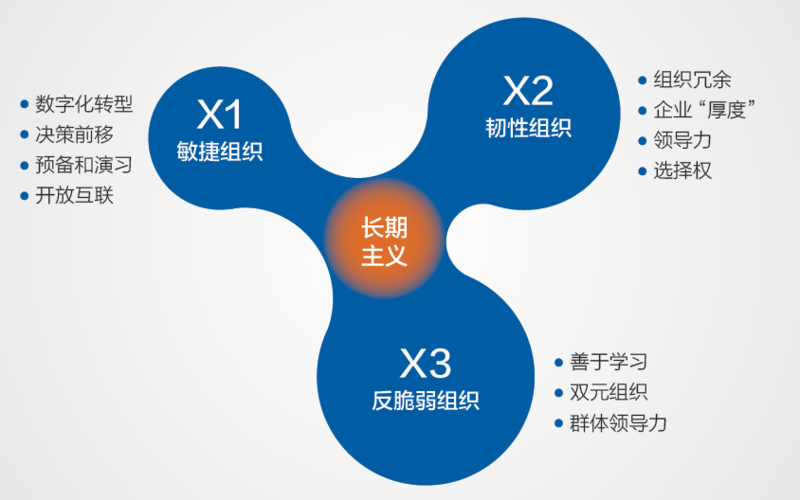 “长期主义+X”的原则框架 “长期主义+X”的原则框架