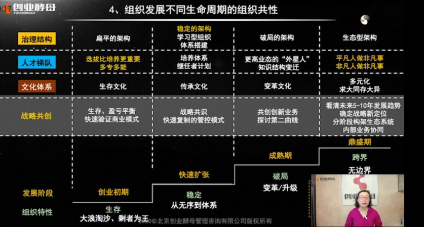 组织发展不同生命周期的组织共性