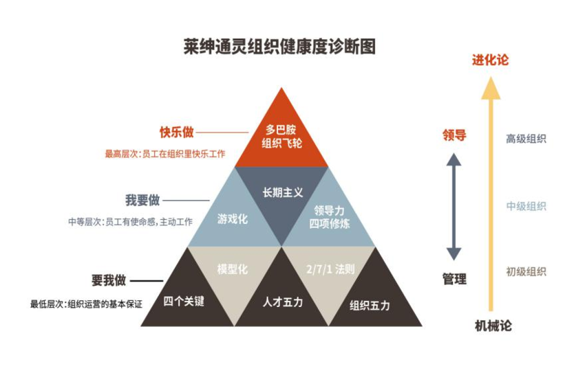 莱绅通灵组织健康度诊断图 莱绅通灵组织健康度诊断图