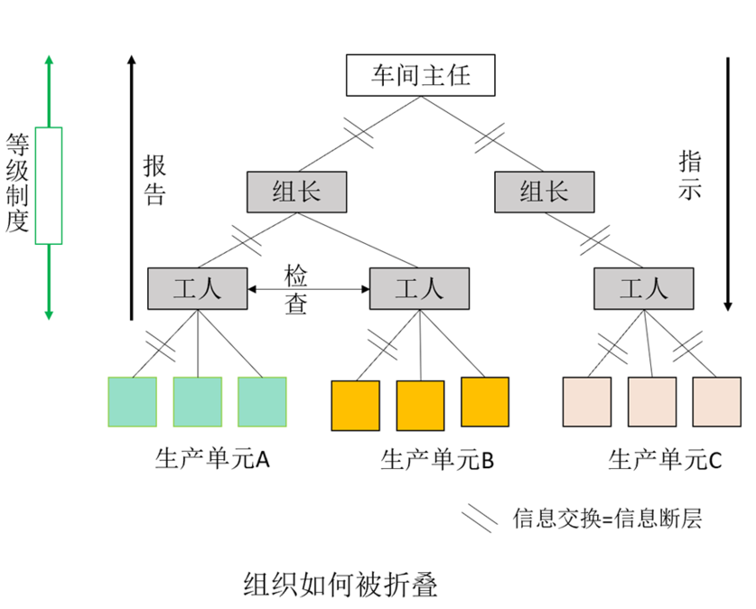 组织等级就是信息断层 组织等级就是信息断层