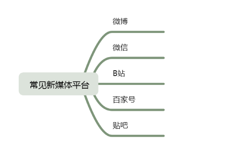 常见新媒体平台