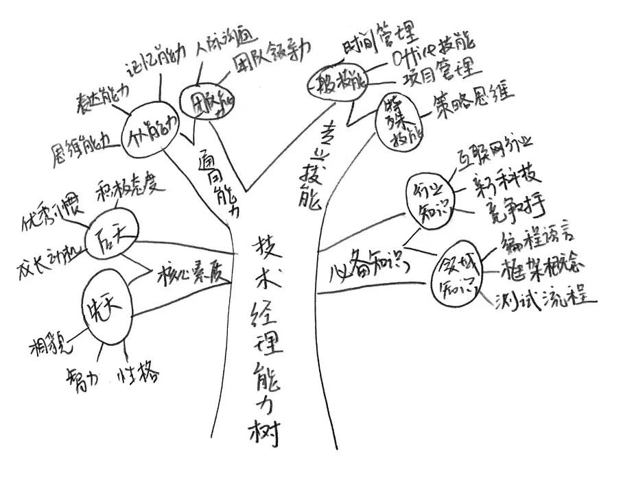 能力图谱如何画图片