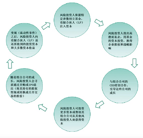 图1:风险投资商业模式