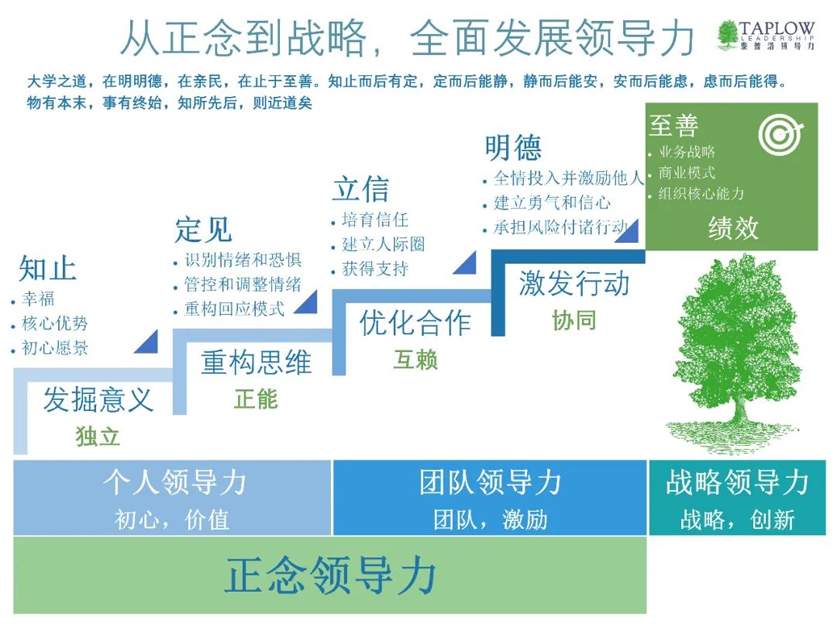 领导力的核心命题:我如何让"我们"拥有共同的成功模式