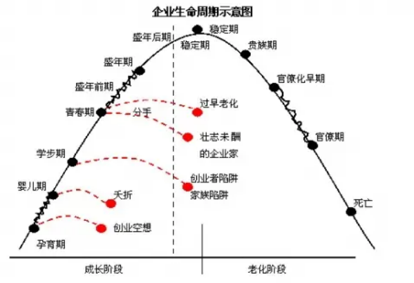 企业生命周期示意图