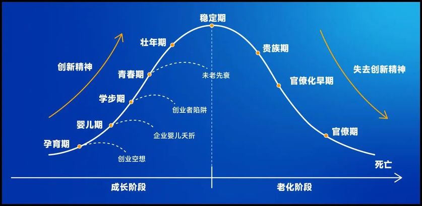 企业生命周期阶段示意图