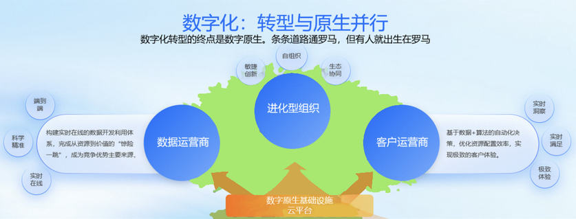 数字化：转型与原生并行
